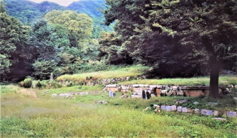 6면-폐엽사지_외국문종합출판사 1998년간20210323.jpg