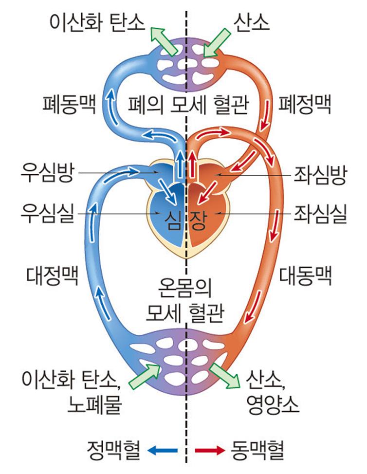 5면-자료사진.jpg